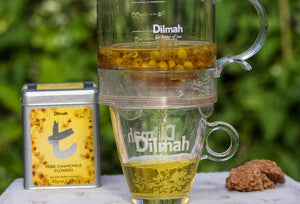 Dilmah Perfect Cup Tea Infuser