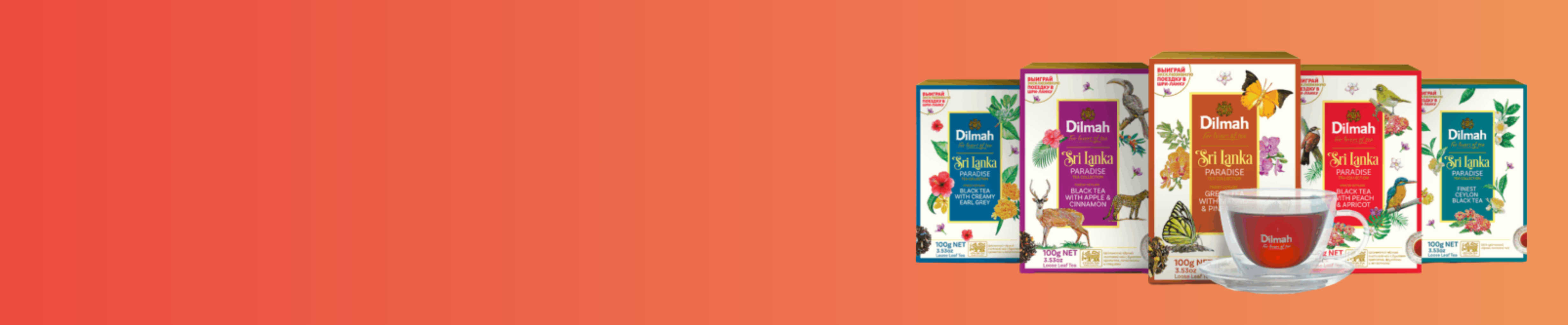 Dilmah Inspiration Kits