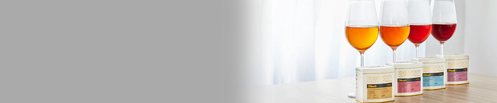 Watte Single Region Selection